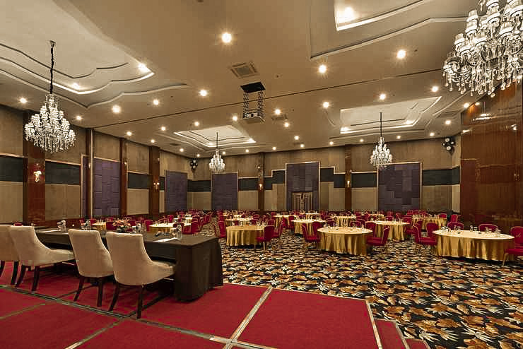 Conference & Meeting